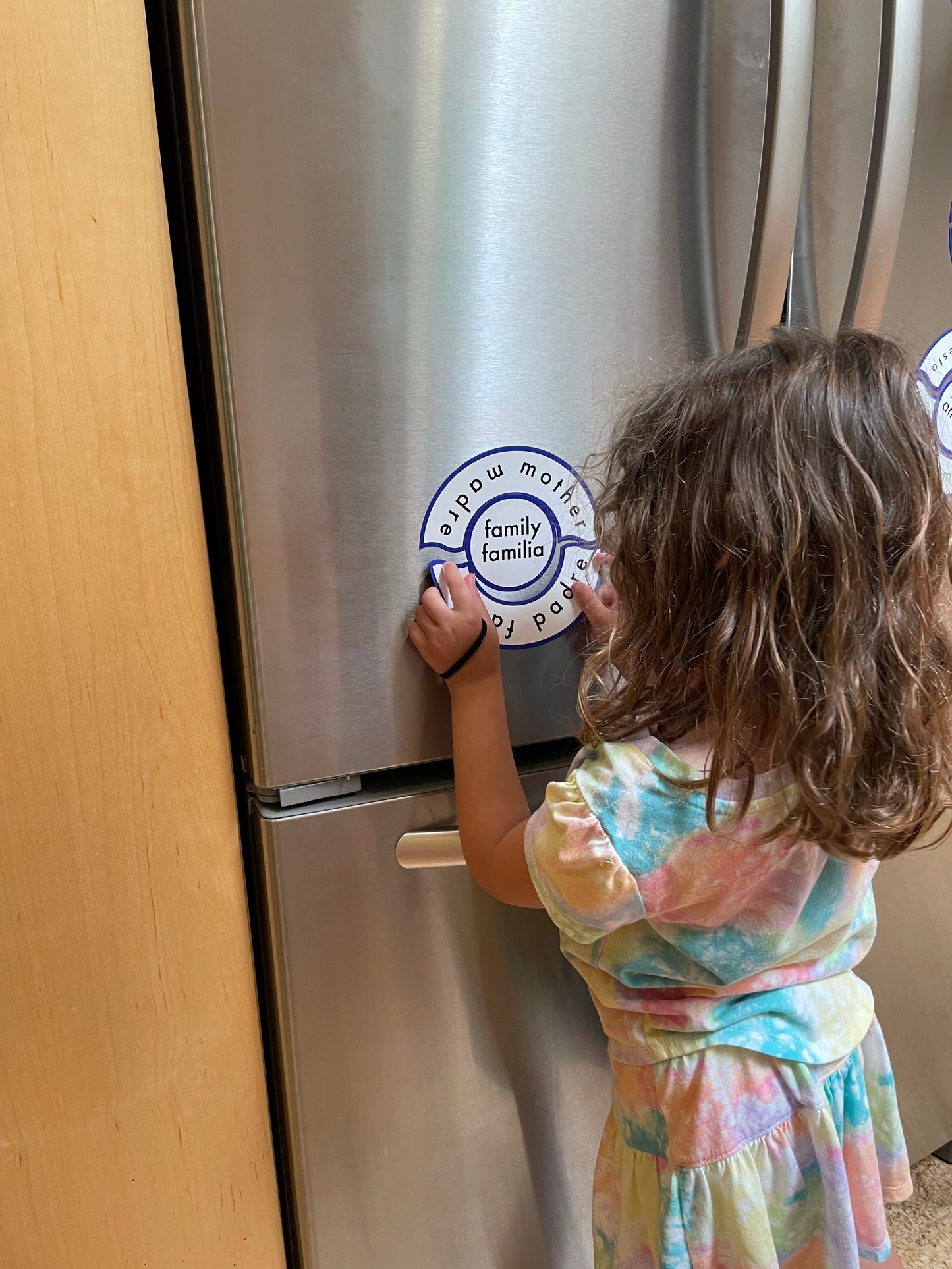 Circles of Civility: Magnetic Puzzle Activity Kit